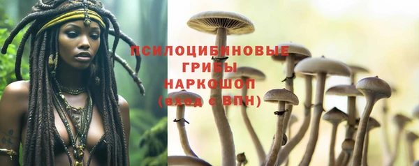 прущие крисы Абинск