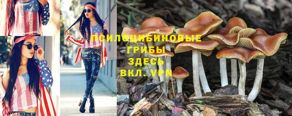 дурь Абдулино