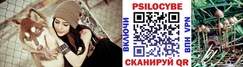 Псилоцибиновые грибы прущие грибы  где купить наркоту  кракен вход  Сызрань 